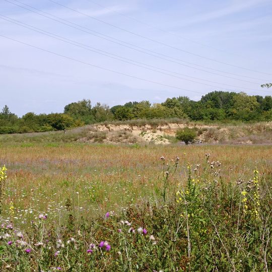 Im Dulbaum bei Alsbach