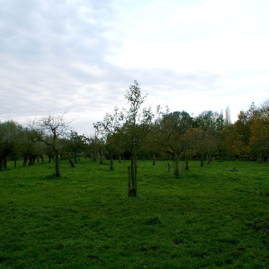 Terrein waarin overblijfselen van het kasteel van de "Heeren van Nisse"