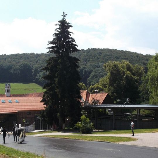 Marbach stud