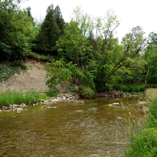 Rouge River