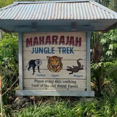 Maharajah Jungle Trek