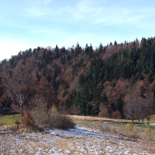 Rezerwat przyrody Pusta Wielka