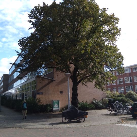 Oorlogsmonument Kinderdijkstraat