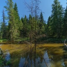 Valdayskiy natsionalniy park