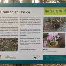 Kruisheide