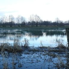 Erdgarten-Lauerwiesen