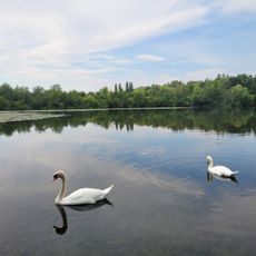 Grimkesee