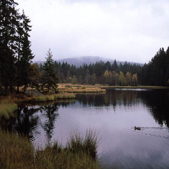 Naturwaldreservat Fichtelseemoor