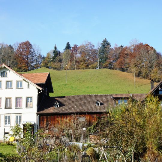 Residential house with mill