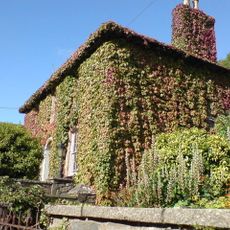 No.10 Main Street (Tan-Yr-Allt) Solfach Isaf/Lower Solva