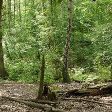 Postfenn und Teufelsfenn