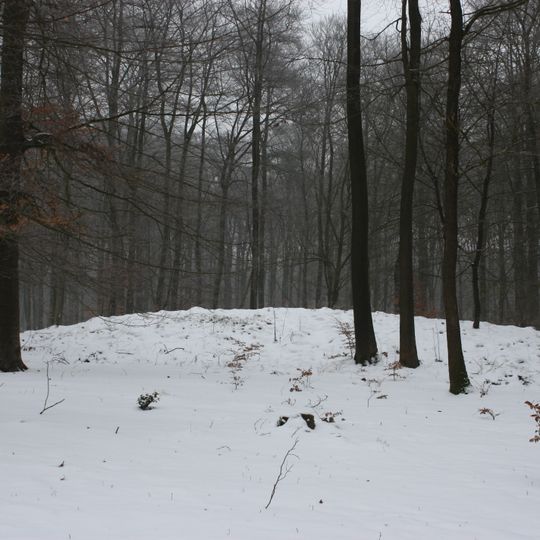 Terrein waarin 5 grafheuvels en een urnenveld