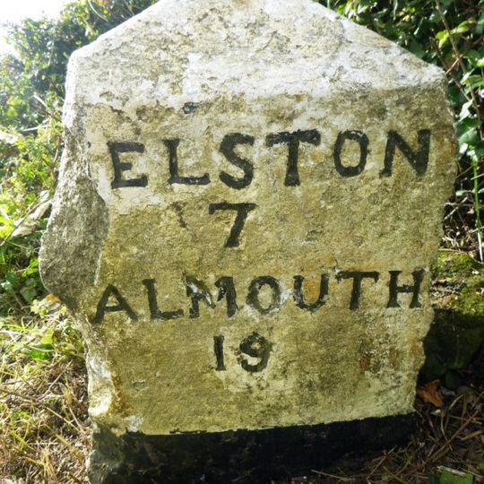 Milestone At Sw561294