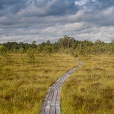 Niedrāju–Pilkas purvs