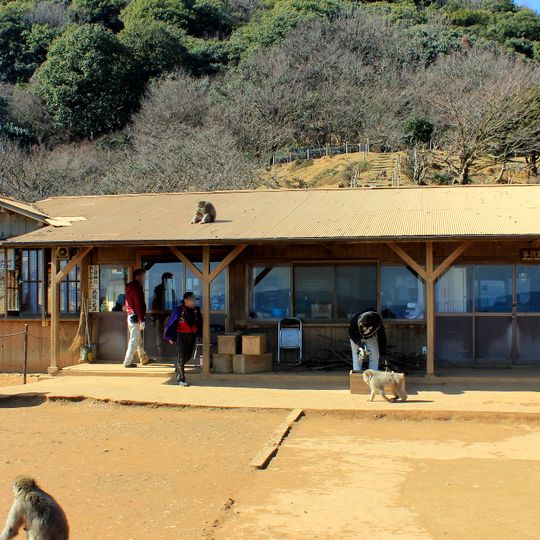 Iwatayama Monkey Park