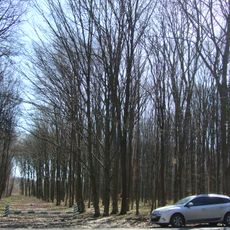 Piatnychanske urochyshche