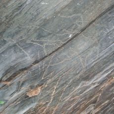 Siega Verde