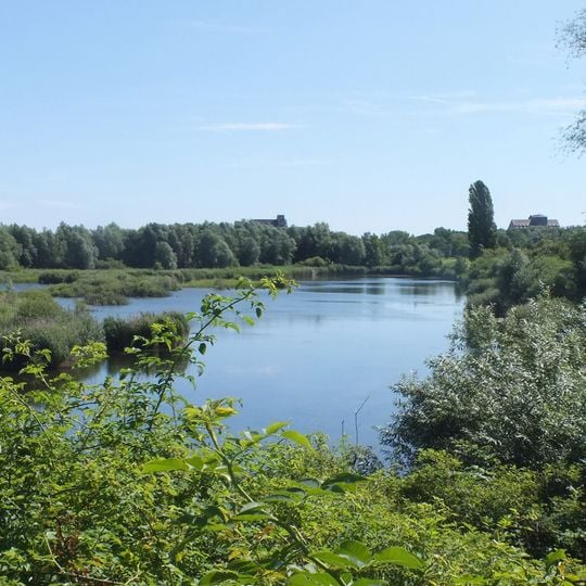 Sumpfgebiet Schönauer Lachen