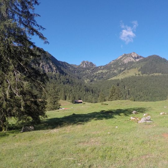 Schutz des Obersten Leitzachtales und seiner Umgebung bei Bayerischzell