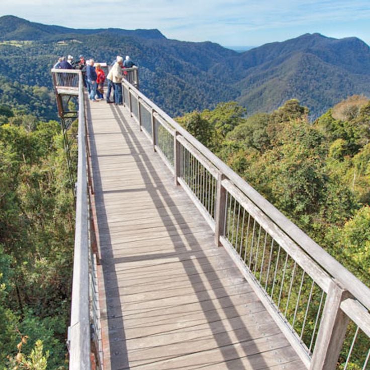 Dorrigo nationalpark