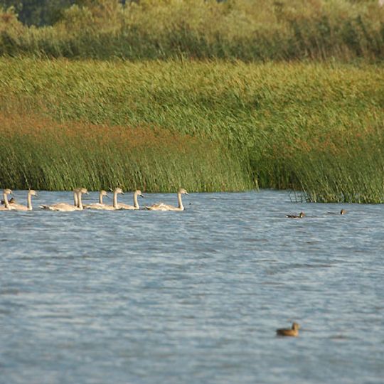 Rezerwat przyrody Stawy Siedleckie