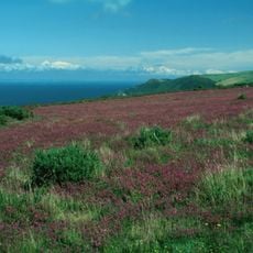 Exmoor National Park
