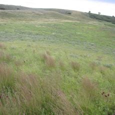 Sullys Hill National Game Preserve