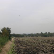 Astley and Bedford Mosses