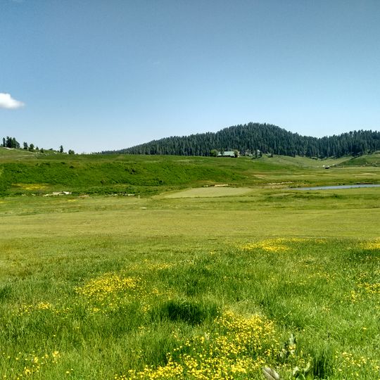 Gulmarg Golf Club