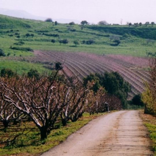 Mevo'ot HaHermon Regional Council