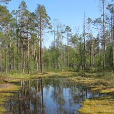 Parco nazionale di Lauhanvuori