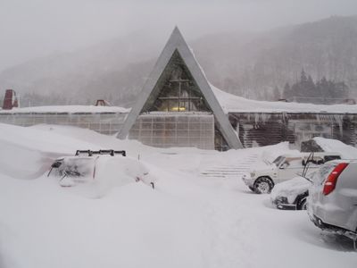 Winter 2