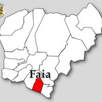 Faia