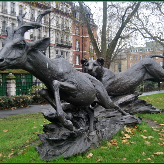 Lioness and Lesser Kudu
