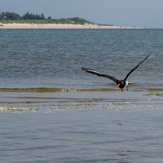 Ramsar-Gebiet S-H Wattenmeer und angrenzende Küstengebiete
