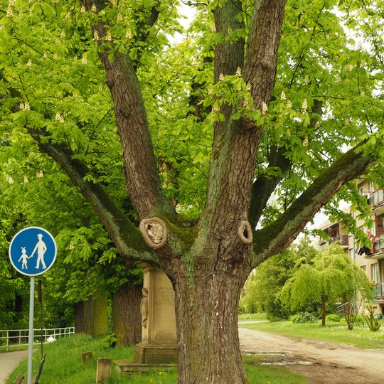 Jírovce v Rožďalovicích