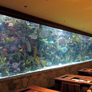 The Mirage Aquarium