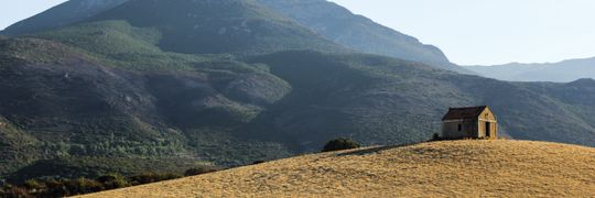 Laurie Siette Profile Cover