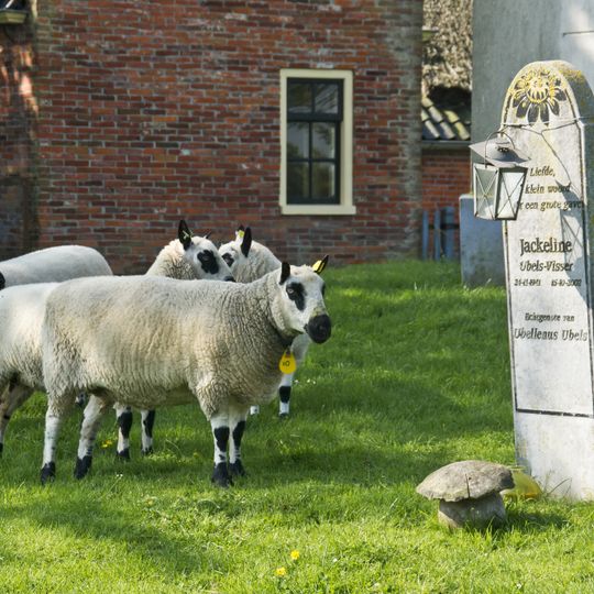 Toren Westerdijkshorn