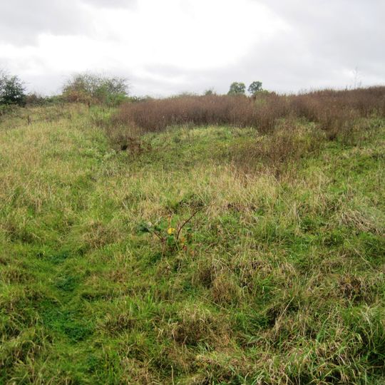 Enderby Warren Quarry