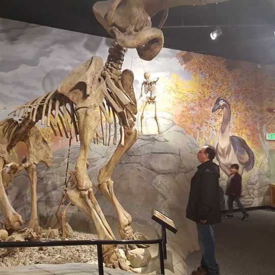 Museum of Ancient Life