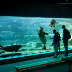 Parc zoologique du château de Branféré