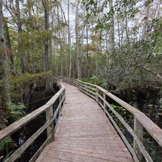 Marsh Observation Tower