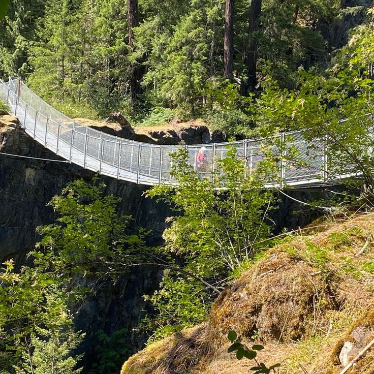 Elk Falls hängbro