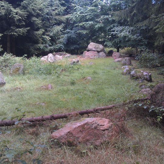 Langdysse im Avnede Skov