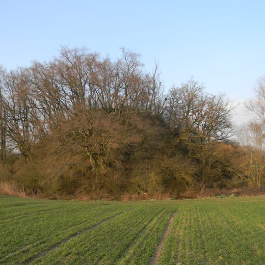 Motte castrale de Saint-Jean-de-Thurigneux