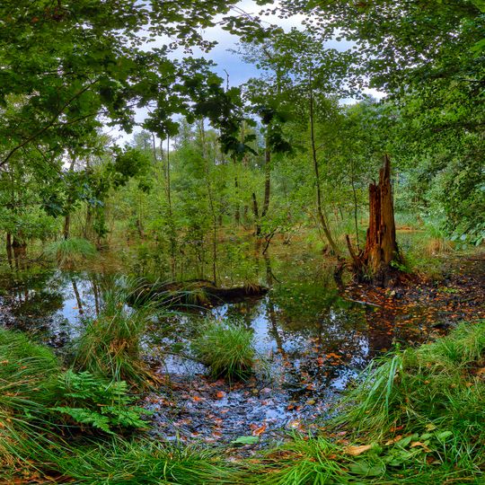 Heath marshes with marginal meadows near Waldau
