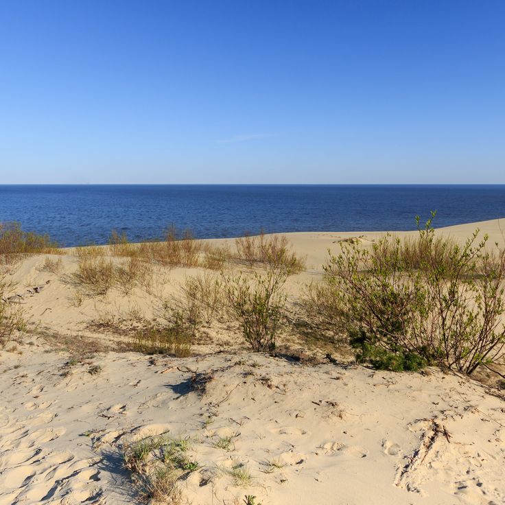 Curonian Spit