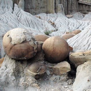 Cannonball Concretions Pullout