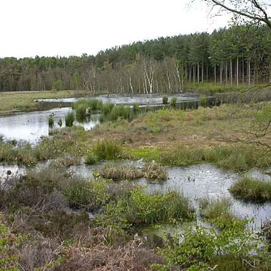 Abbotts Moss Nature Reserve